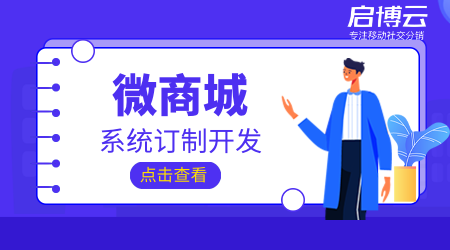 启博云微商城系统定制开发要注意什么?方法是怎样的?